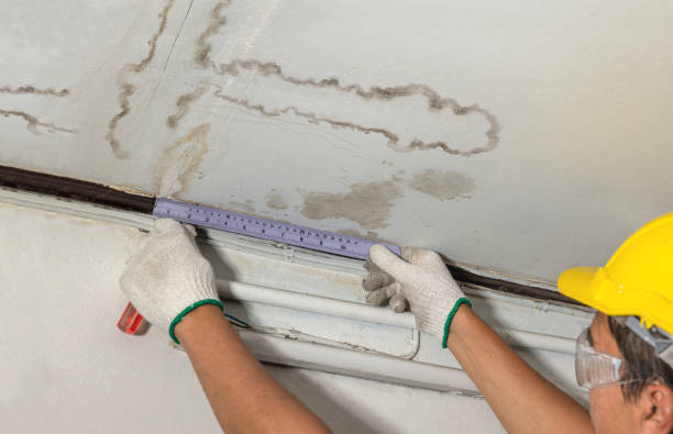 Reliable Structural Drying contractor in Montreat, NC by Water Damage Irwin